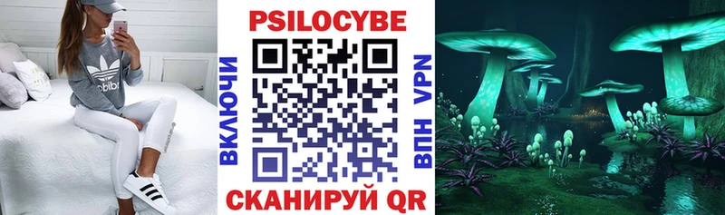 Галлюциногенные грибы мицелий Макаров