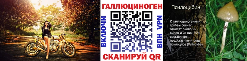 Галлюциногенные грибы мухоморы  Макаров 